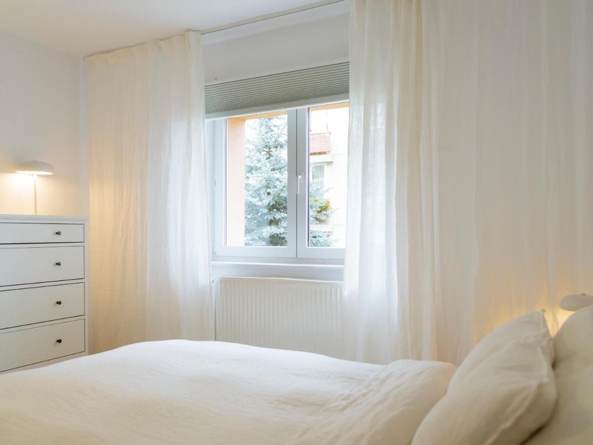 Cozy Central Apartment Near The Forest Braşov Exterior foto
