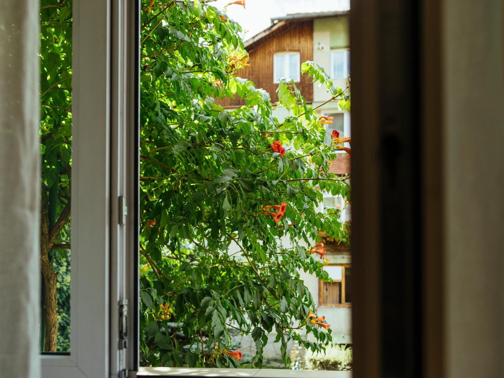 Cozy Central Apartment Near The Forest Braşov Exterior foto